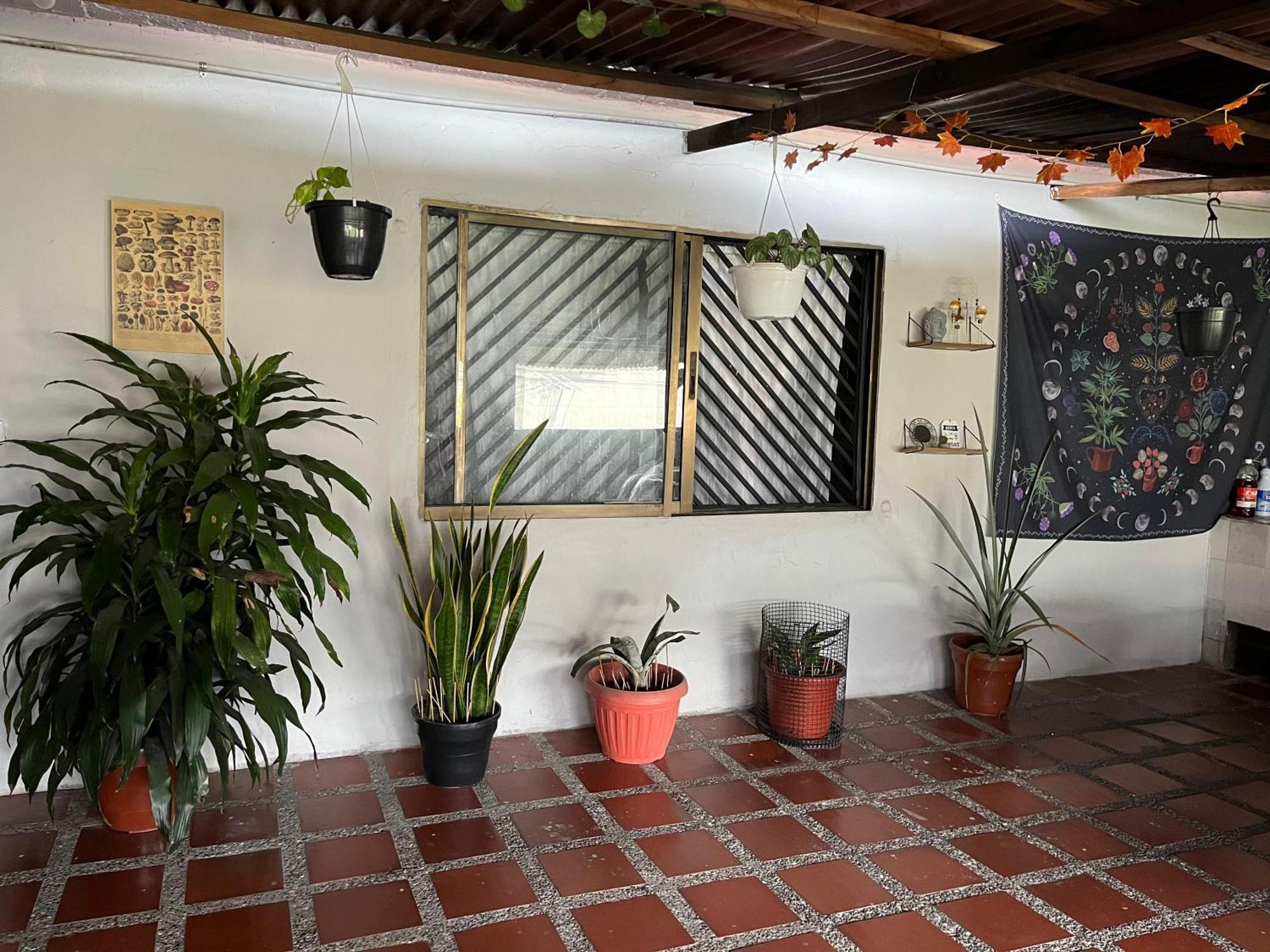 Nice Place Medellin Exterior photo